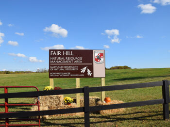 Trail Run in Fair Hill NRMA @ Fair Hill NRMA | Maryland | United States