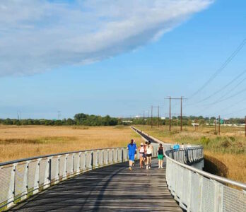 DDC Course Preview Run in September